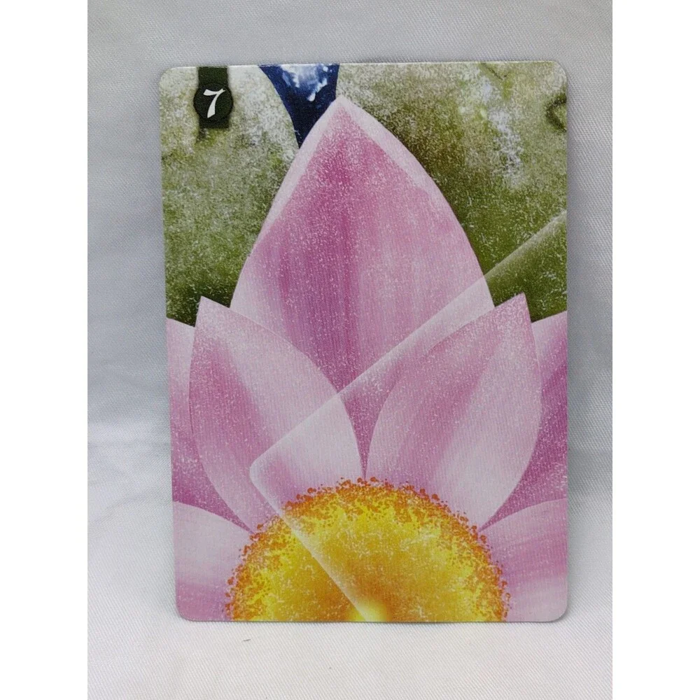 Renegade Game Studios frosted lotus